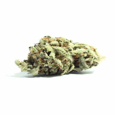 Kush Mints > Tramuntana Seeds | Feminisierte Hanfsamen  |  Indica